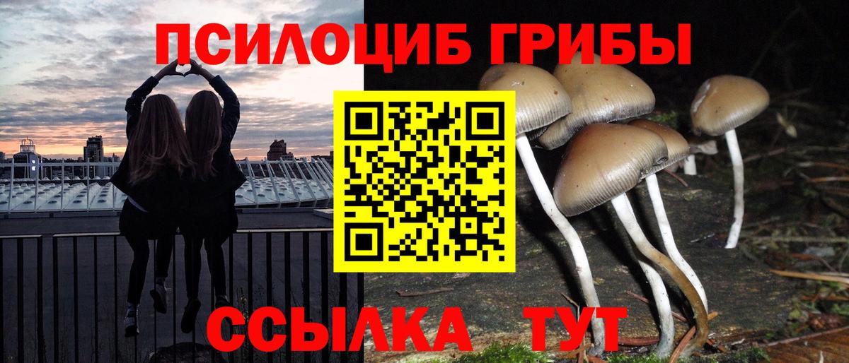 Гусиноозёрск  Галлюциногенные грибы мицелий  Галлюциногенные грибы Cubensis  Вход с VPN 