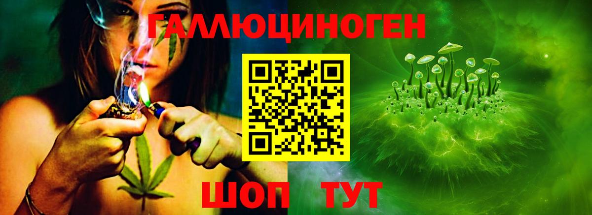 Псилоцибиновые грибы мухоморы Гусиноозёрск